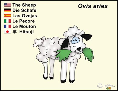 Bizzy Buddies Sheep cartoon character