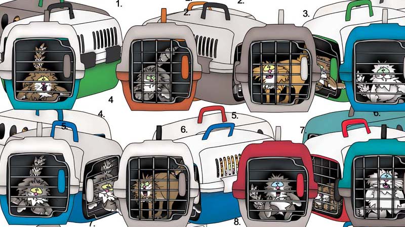 The Bizzy Buddies Snail's Pace Productions Humorous Illustrated Stories Vuja Day Artist Illustrator Author Writer