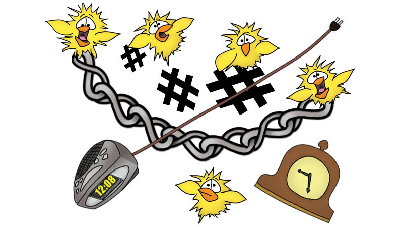 The Bizzy Buddies Snail's Pace Productions Humorous Illustrated Stories Vuja Day Artist Illustrator Author Writer