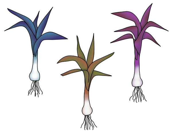 Bizzy Buddies Snail's Pace Productions