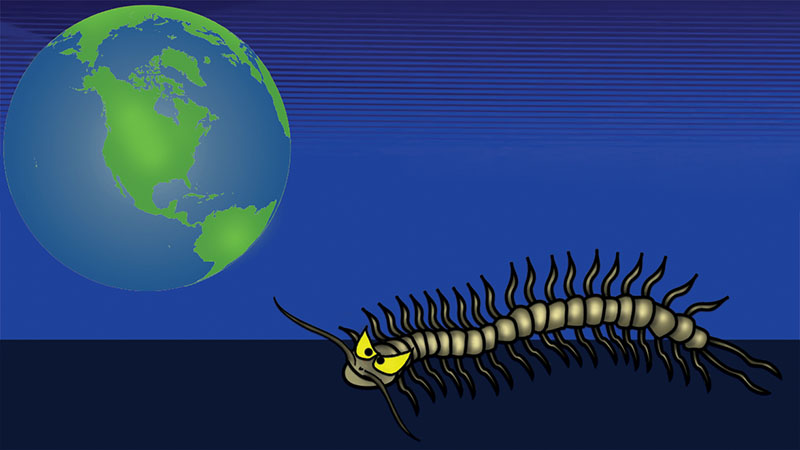 The Bizzy Buddies Snail's Pace Productions Humorous Illustrated Stories The Deep Fake