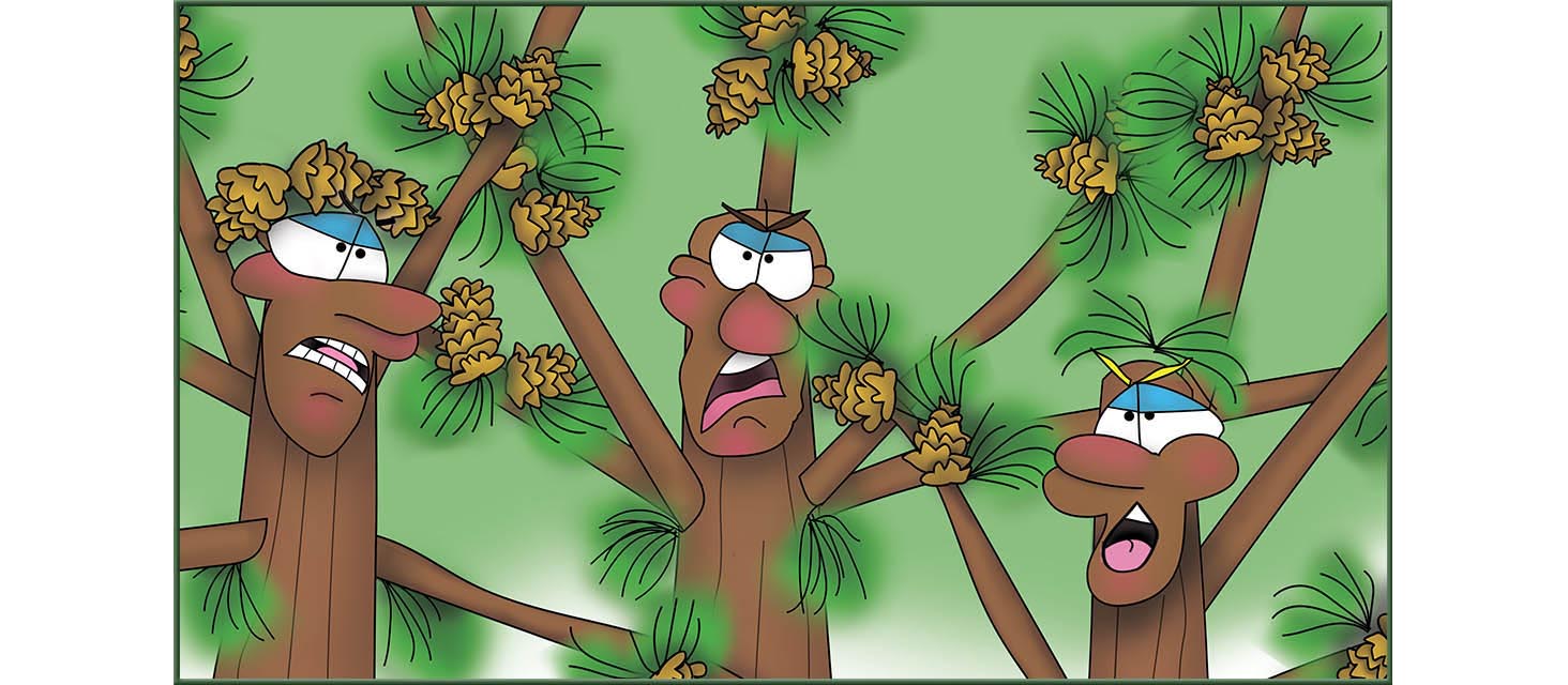 The Three Tree Brothers The Bizzy Buddies Snail's Pace Productions Vuja Day Artist Author Comedy