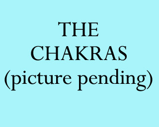 The Chakras The Bizzy Buddies Snail's Pace Productions Humorous Illustrated Stories