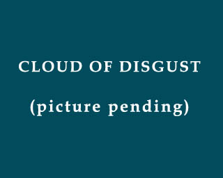 The Bizzy Buddies Snail's Pace Productions Humorous Illustrated Stories The Clouds Of Emotion Disgust