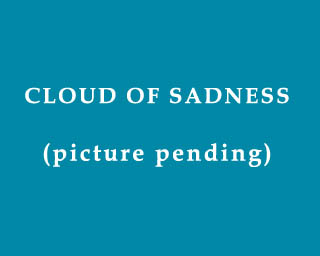 The Bizzy Buddies Snail's Pace Productions Humorous Illustrated Stories The Clouds Of Emotion Sadness