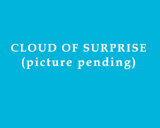 The Bizzy Buddies Snail's Pace Productions Humorous Illustrated Stories The Clouds Of Emotion Surprise