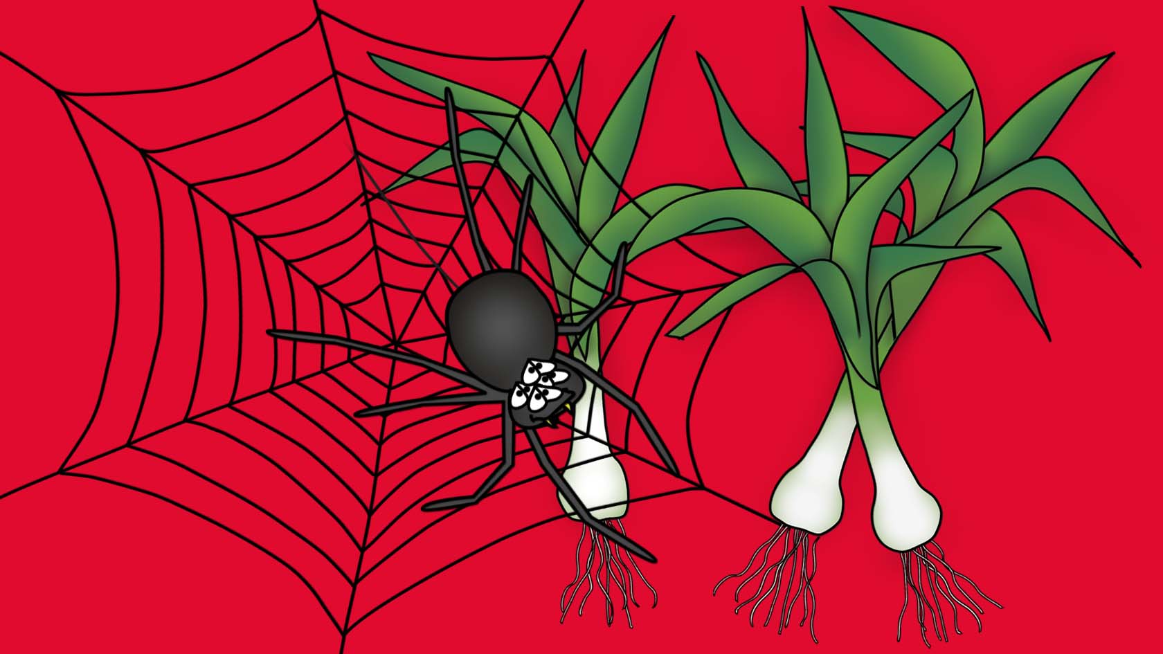 The Bizzy Buddies Snail's Pace Productions Humorous Illustrated Stories Vuja Day Artist Illustrator Author Writer