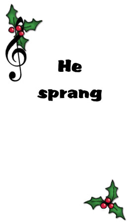 Bizzy Buddies - The Night Before Christmas Vuja Day