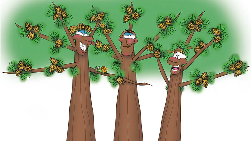 Bizzy Buddies -The Three Tree Brothers - Snails Pace Productions