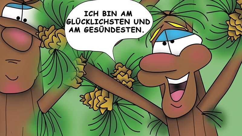 Bizzy Buddies - Die Drei Baumbruder humorvolle illustrierte Geschichte