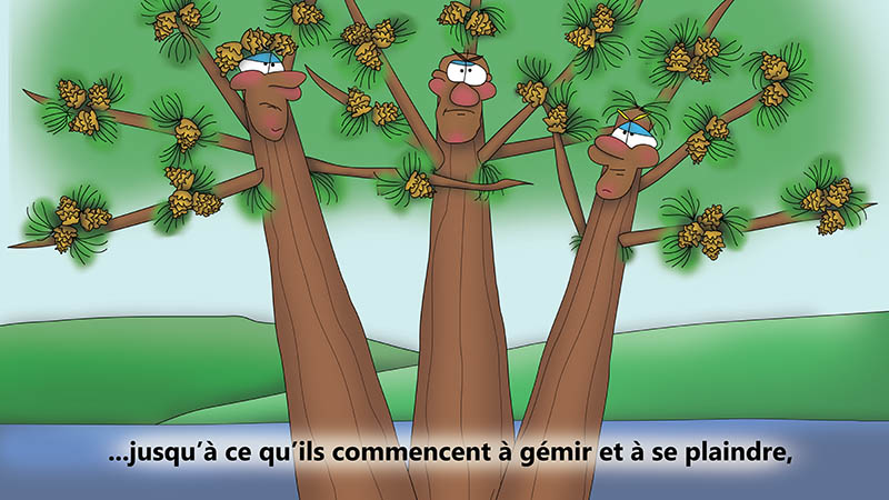 Bizzy Buddies - Les Trois Frères des Arbres Histoire illustree humoristique