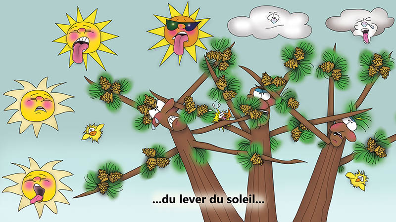 Bizzy Buddies - Les Trois Frères des Arbres Histoire illustree humoristique