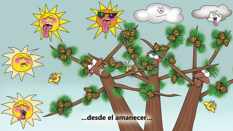 Bizzy Buddies - Los Tres Hermanos Arbol Historia ilustrada humorística