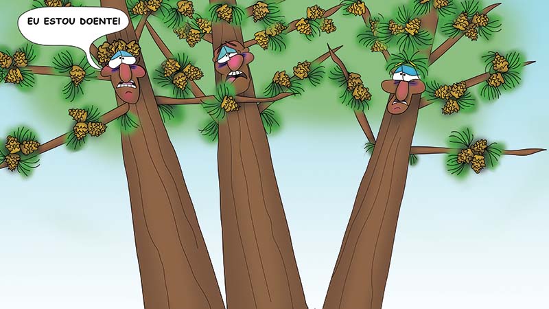 The Bizzy Buddies - Os Tres Irmaos da Arvore historia ilustrada bem-humorada