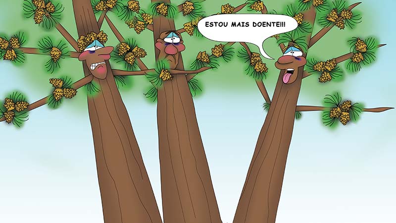 The Bizzy Buddies - Os Tres Irmaos da Arvore historia ilustrada bem-humorada