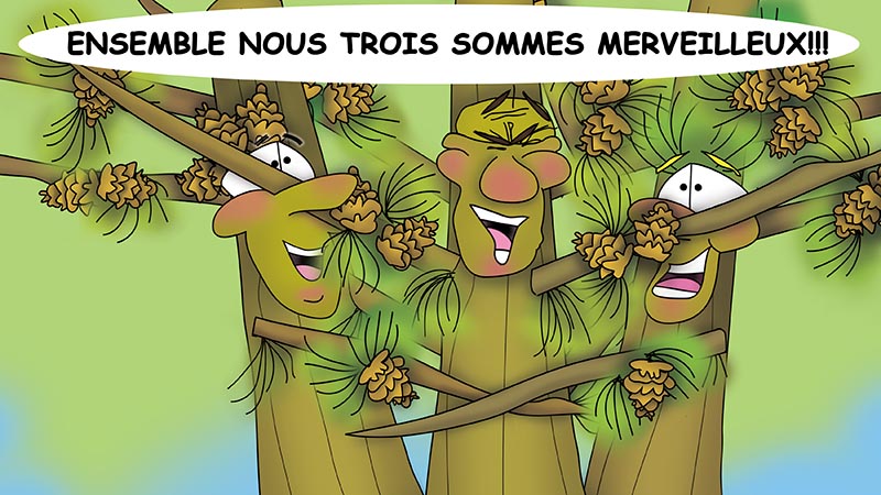 Bizzy Buddies - Les Trois Frères des Arbres Histoire illustree humoristique