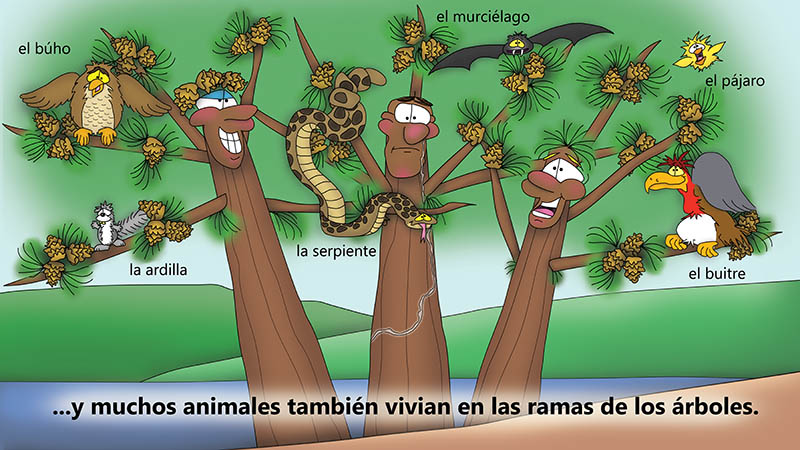 Bizzy Buddies - Los Tres Hermanos Arbol Historia ilustrada humorística