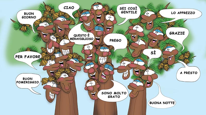 Bizzy Buddies - I Tre Fratelli Albero Storia illustrata umoristica