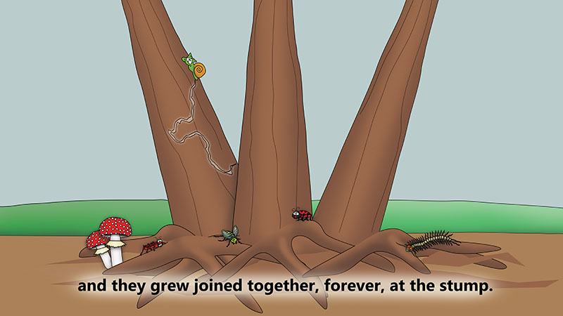 Bizzy Buddies - The Three Tree Brothers - multi lingual childrens stories english french italian spanish german portuguese