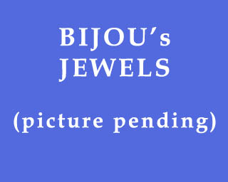 The Bizzy Buddies Snail's Pace Productions Humorous Illustrated Stories Vuja Day Artist Comedy Writer Bijou's Jewels Leekville Mall