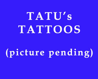 The Bizzy Buddies Snail's Pace Productions Humorous Illustrated Stories Vuja Day Artist Comedy Writer Tatus Tattoos Leekville Mall