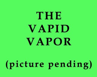 The Bizzy Buddies Snail's Pace Productions Humorous Illustrated Stories Vuja Day Artist Comedy Writer The Vapid Vapor Leekville Mall