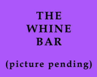 The Bizzy Buddies Snail's Pace Productions Humorous Illustrated Stories Vuja Day Artist Comedy Writer The Whine Bar Leekville Mall