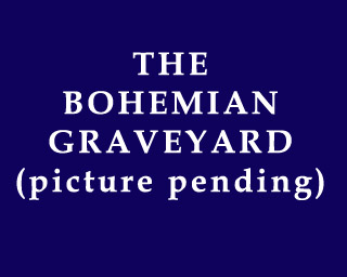 The Bizzy Buddies Snail's Pace Productions Humorous Illustrated Stories The Bohemian Graveyard