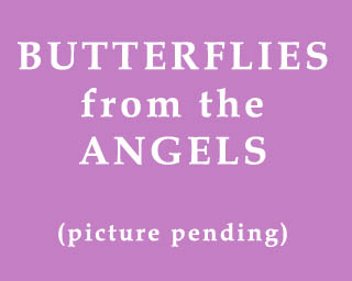 The Bizzy Buddies Snail's Pace Productions Humorous Illustrated Stories Vuja Day Artist Illustrator Butterflies From The Angels