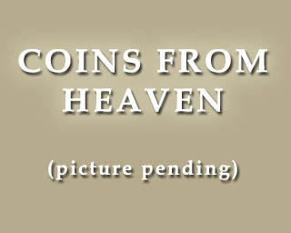 The Bizzy Buddies Snail's Pace Productions Humorous Illustrated Stories Vuja Day Artist Illustrator Coins From Heaven