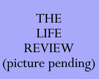 The Bizzy Buddies Snail's Pace Productions Humorous Illustrated Stories Vuja Day Artist Illustrator Life Review