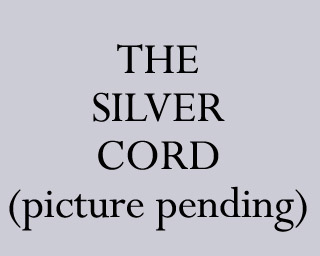 The Bizzy Buddies Snail's Pace Productions Humorous Illustrated Stories Vuja Day Artist Illustrator The Silver Cord