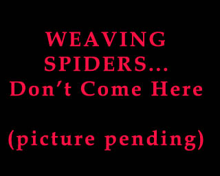 The Bizzy Buddies Snail's Pace Productions Humorous Illustrated Stories The Bohemian Graveyard Weaving Spiders