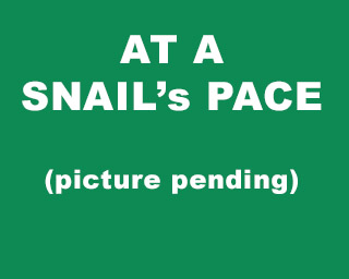 The Bizzy Buddies Snail's Pace Productions Humorous Illustrated Stories Vuja Day Artist Illustrator At A Snail's Pace