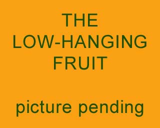 The Bizzy Buddies Snail's Pace Productions Humorous Illustrated Stories Vuja Day Artist Comedy Writer The Low Hanging Fruit