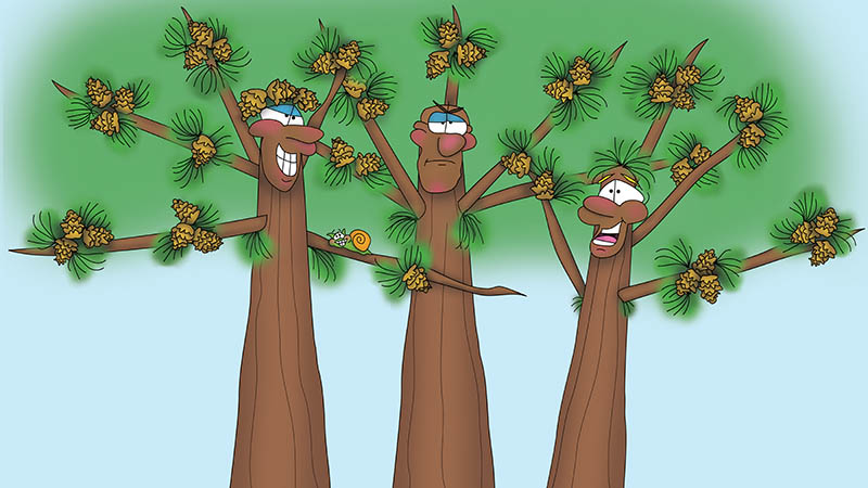 Bizzy Buddies Snail's Pace Productions The Three Tree Brothers Educational Illustrated Stories Multi Lingual Languages