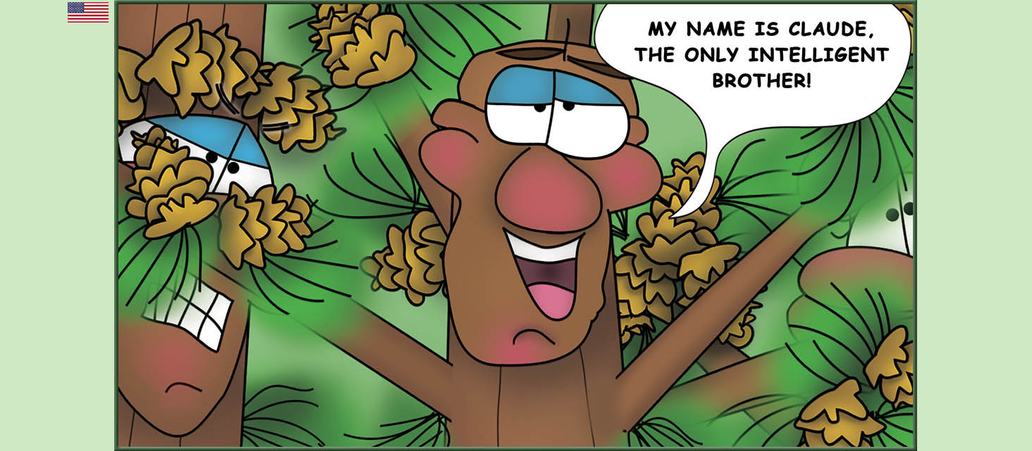 Bizzy Buddies Snail's Pace Productions The Three Tree Brothers Educational Illustrated Stories Multi Lingual Languages