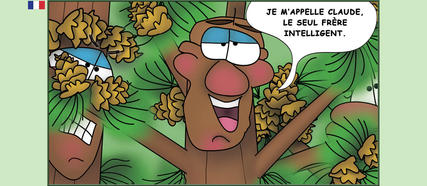 Bizzy Buddies Snail's Pace Productions Des histoires educatives illustrees et humoristiques en plusierur langues Vuja Day Multi Lingual Languages