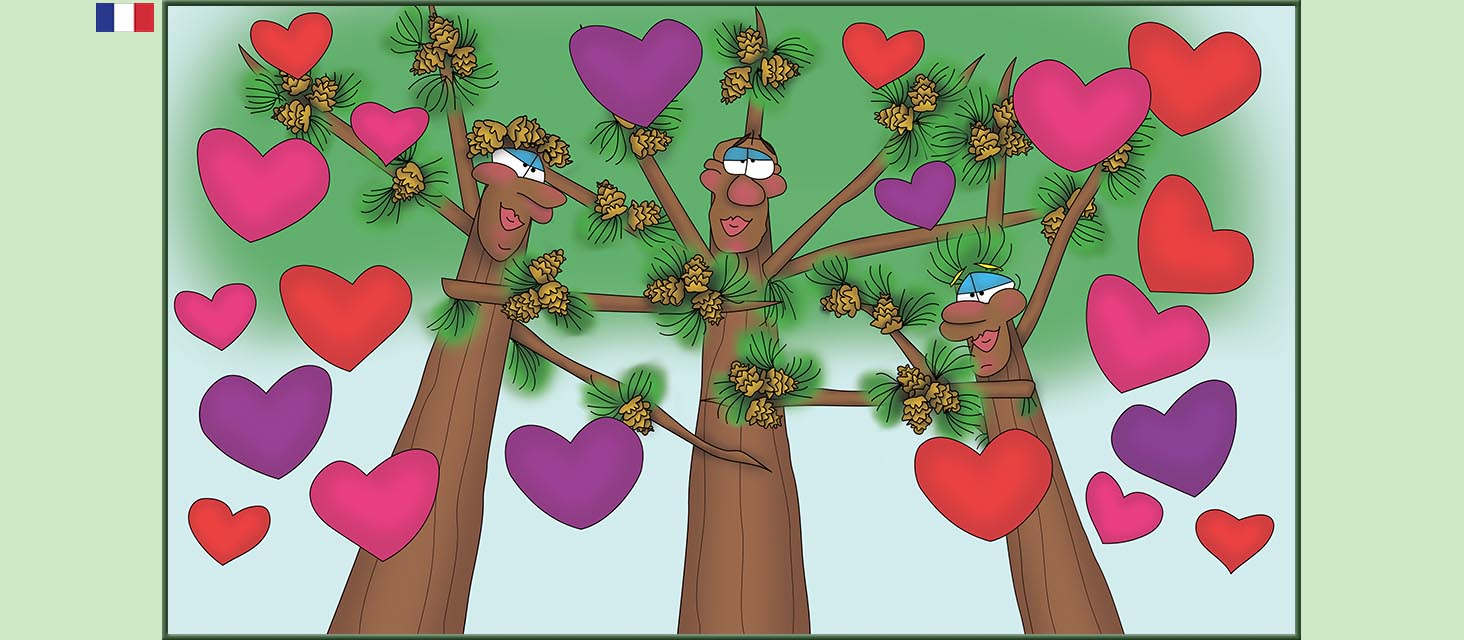 Bizzy Buddies Snail's Pace Productions Des histoires educatives illustrees et humoristiques en plusierur langues Vuja Day Multi Lingual Languages