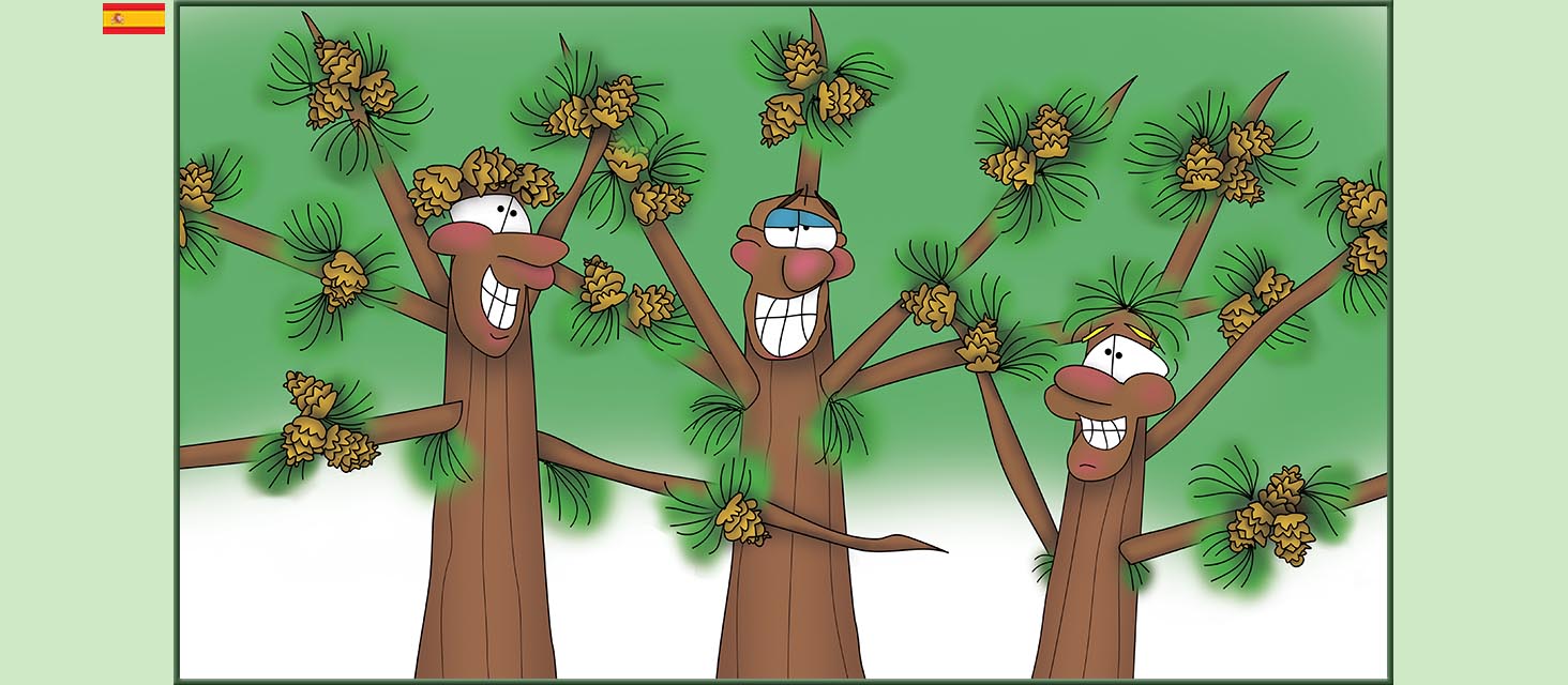 Bizzy Buddies Snail's Pace Productions Los Tres Hermanos Árbol Cuentos educativos ilustrados y humoristicos en varios idiomas