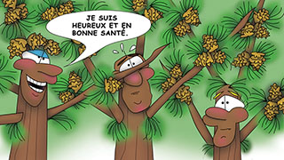 The Bizzy Buddies Snail's Pace Productions Humorous Illustrated Story French Language English Translation