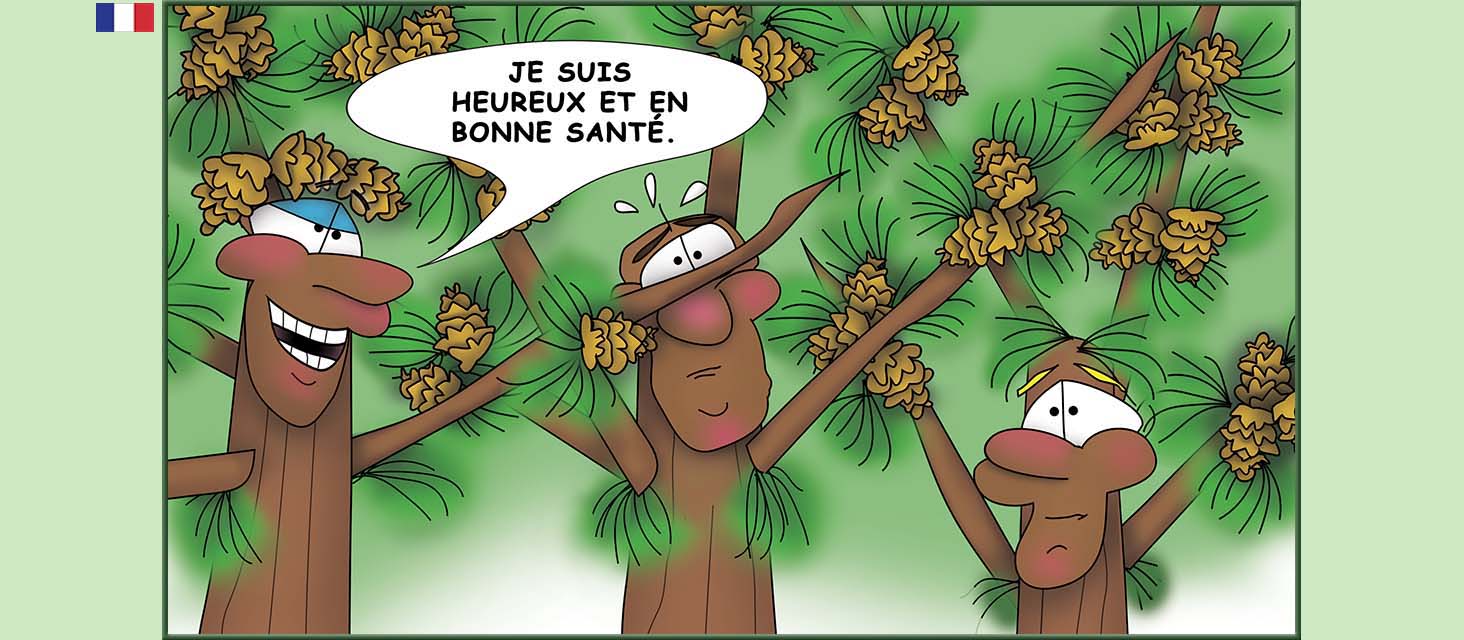 Bizzy Buddies Snail's Pace Productions Des histoires educatives illustrees et humoristiques en plusierur langues Vuja Day Multi Lingual Languages