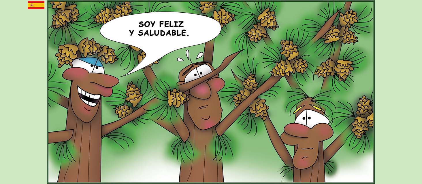 Bizzy Buddies Snail's Pace Productions Los Tres Hermanos Árbol Cuentos educativos ilustrados y humoristicos en varios idiomas