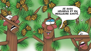 The Bizzy Buddies Snail's Pace Productions Humorous Illustrated Story French Language English Translation