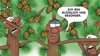 The Bizzy Buddies Snail's Pace Productions Humorous Illustrated Story German Language English Translation