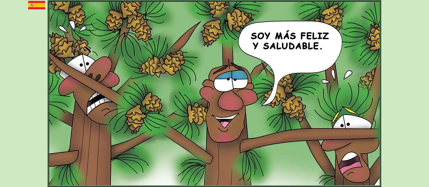 Bizzy Buddies Snail's Pace Productions Los Tres Hermanos Árbol Cuentos educativos ilustrados y humoristicos en varios idiomas