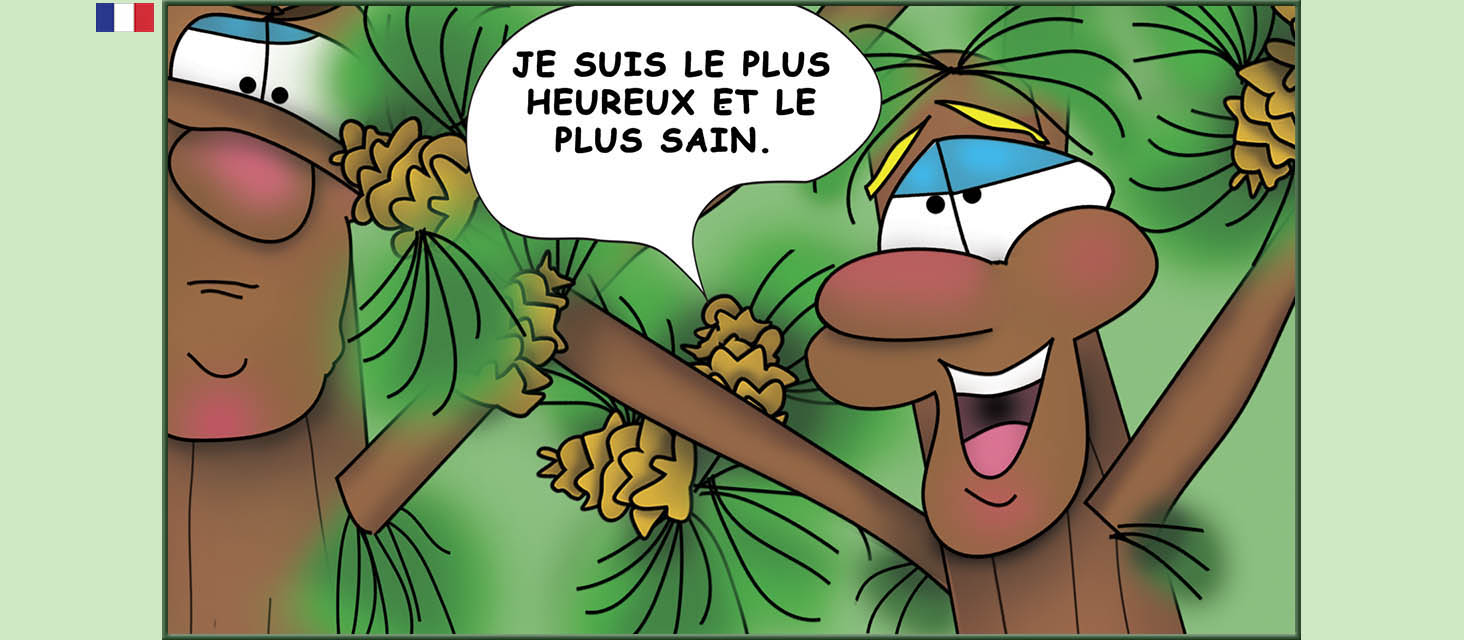 Bizzy Buddies Snail's Pace Productions Des histoires educatives illustrees et humoristiques en plusierur langues Vuja Day Multi Lingual Languages