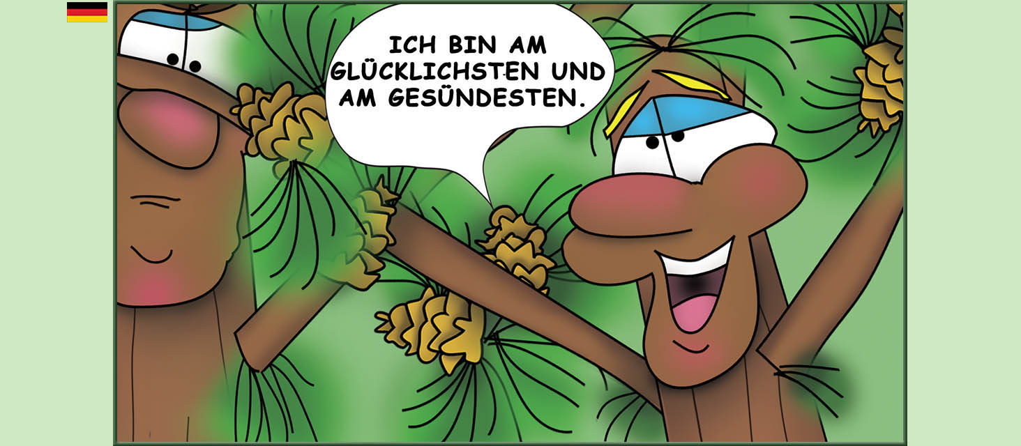 Bizzy Buddies Snail's Pace Productions Die Drei Baumbruder Aus dem Englishchen ins Deutsche ubersetzt Vuja Day Multi Lingual Languages