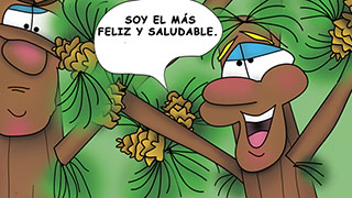 The Bizzy Buddies Snail's Pace Productions Humorous Illustrated Story Spanish Language English Translation