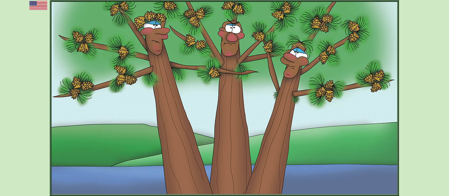 Bizzy Buddies Snail's Pace Productions The Three Tree Brothers Educational Illustrated Stories Multi Lingual Languages